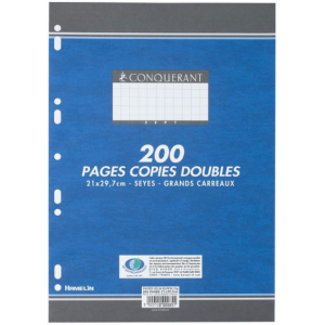 100 Feuilles Simples Jaunes Perforées Grands Carreaux 21x29,7 / 90g / 200  pages